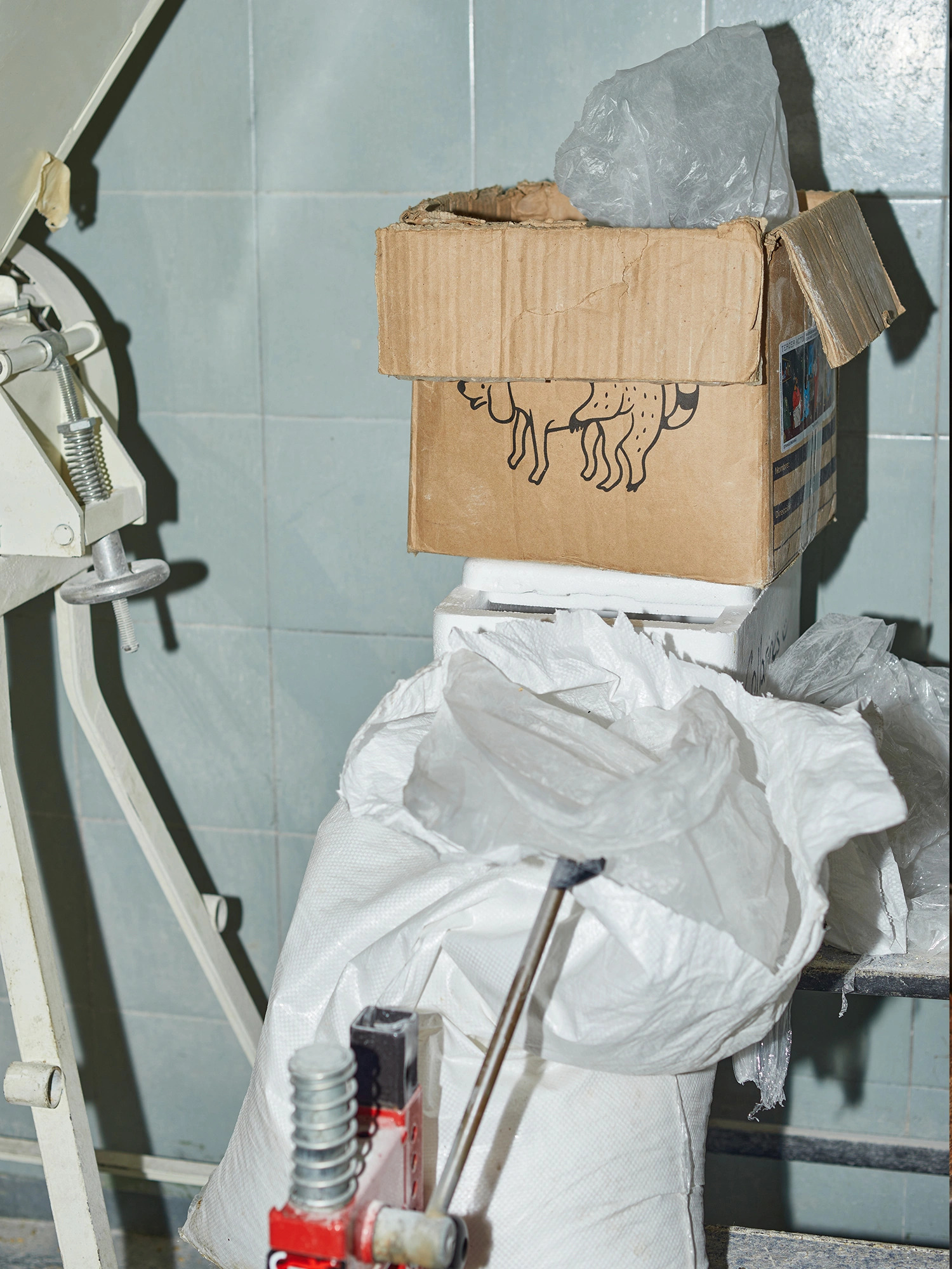 STRANGE_1B_©StudioPatria.webp