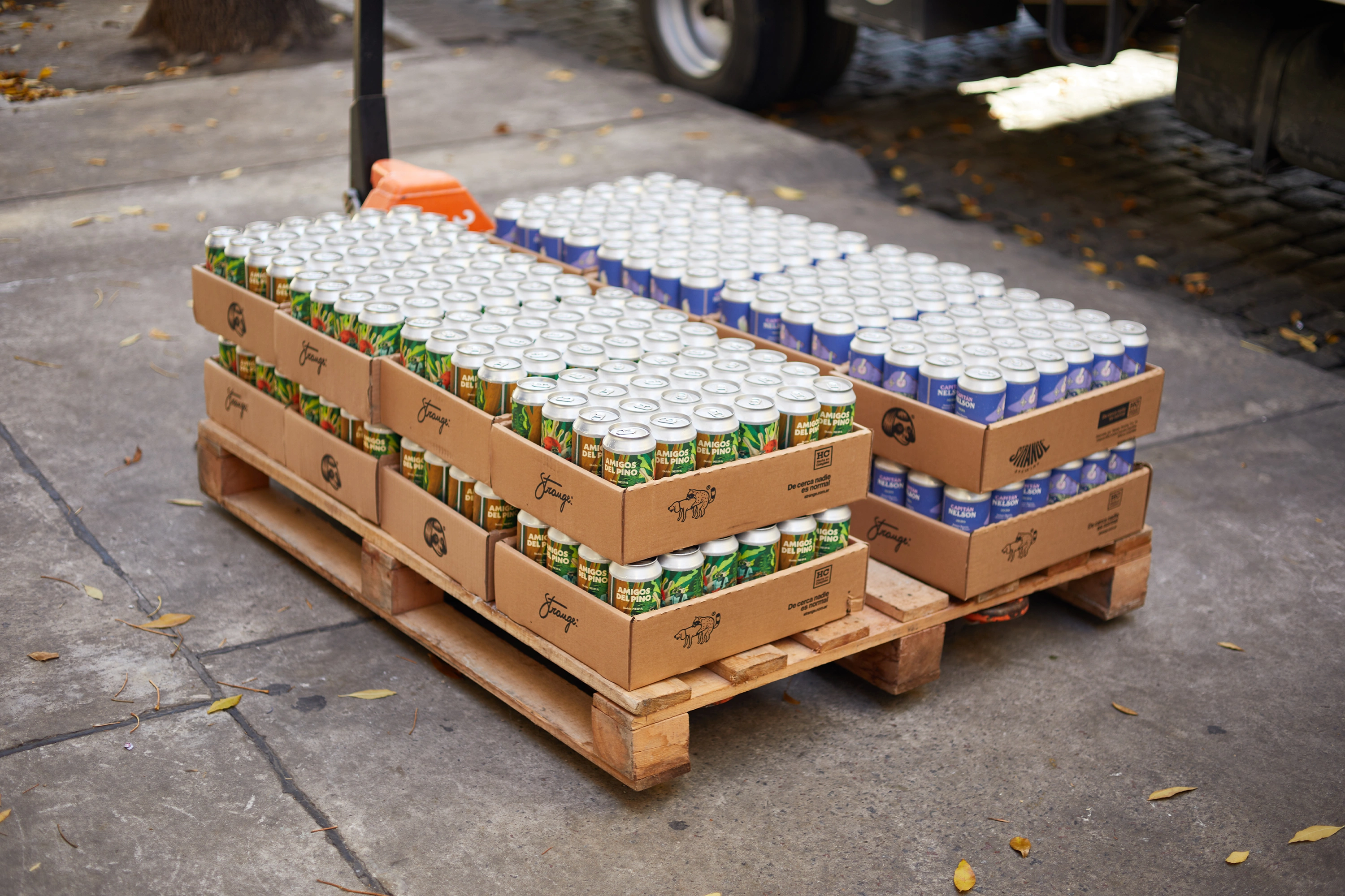 STRANGE_Cans_2_©StudioPatria.webp